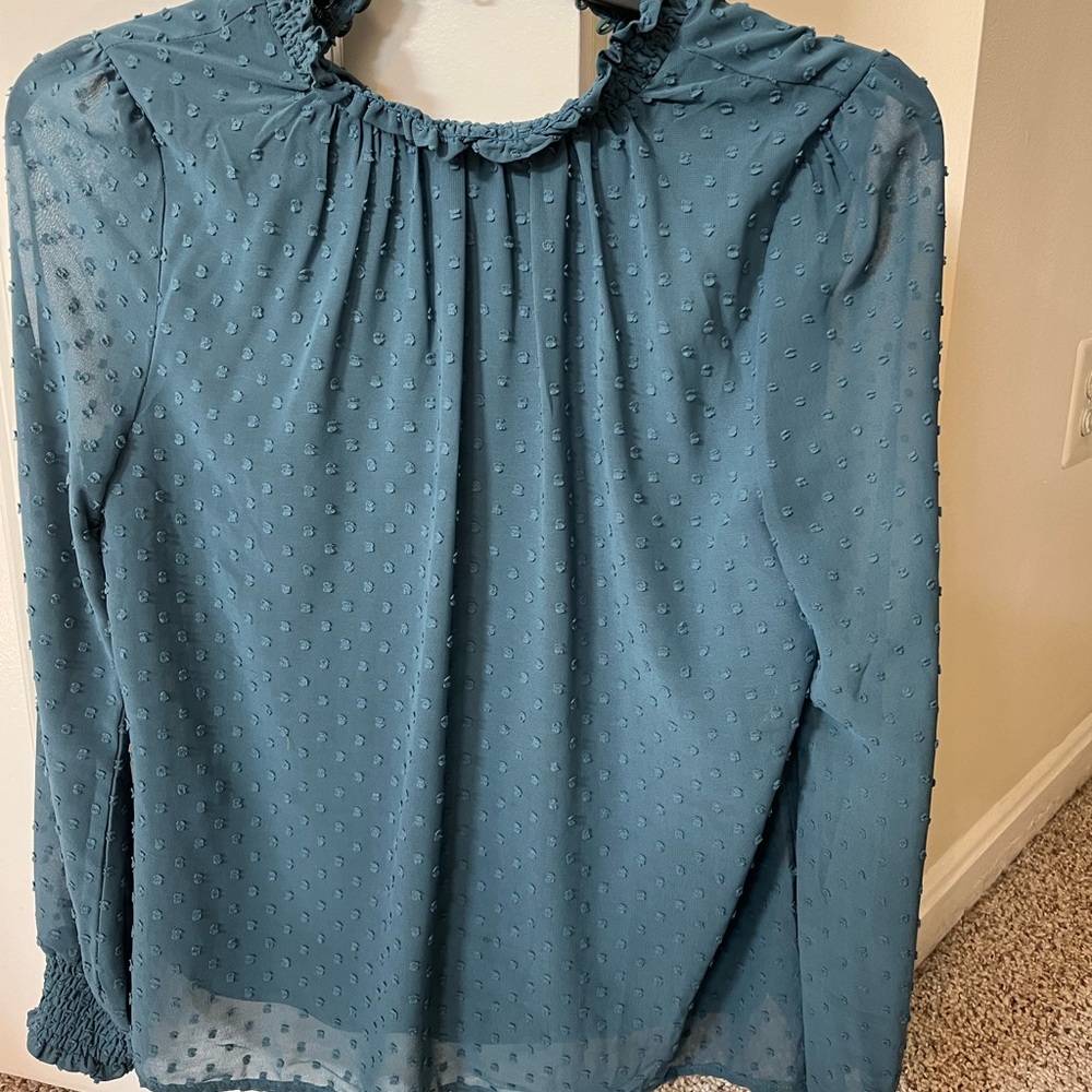 Francesca’s blue blouse, size M.